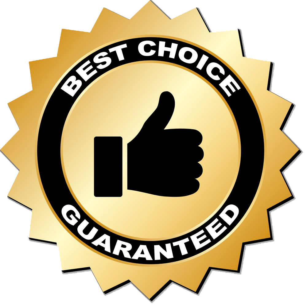 Best Choice Icon